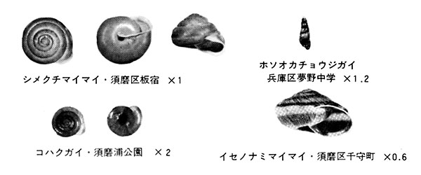 02006.jpg