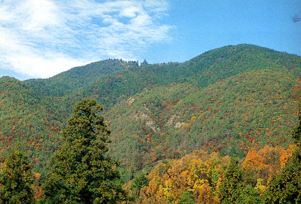 ふもとから見た丹生山、丹生山縦走のハイカーが増えてきた
